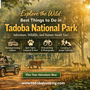 Things to Do in Tadoba National Park