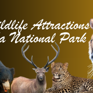 Tadoba National Park