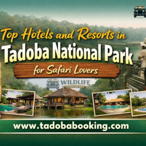 Top Hotels and Resorts in Tadoba National Park for Safari Lovers