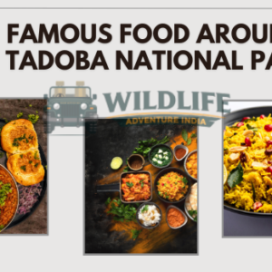 Famous Food Around Tadoba National Park