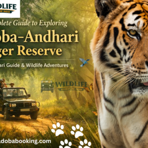 A Complete Guide to Exploring Tadoba–Andhari Tiger Reserve