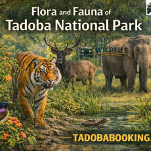 Flora and Fauna of Tadoba National Park