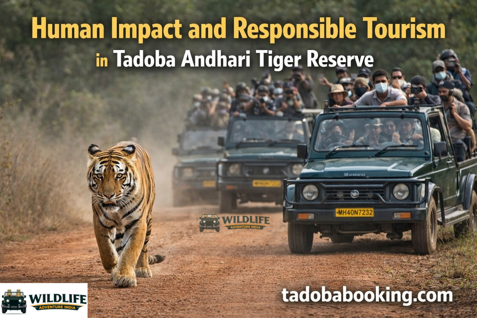 Human Impact and Responsible Tourism in Tadoba Andhari Tiger Reserve