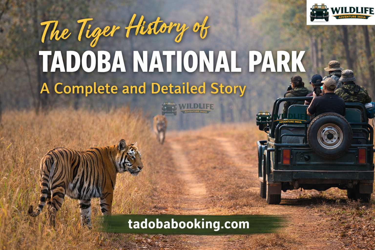 The Tiger History of Tadoba National Park – A Complete and Detailed Story