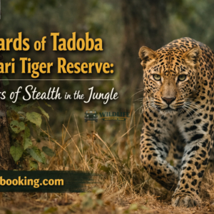 Leopards of Tadoba Andhari Tiger Reserve: Masters of Stealth in the Jungle