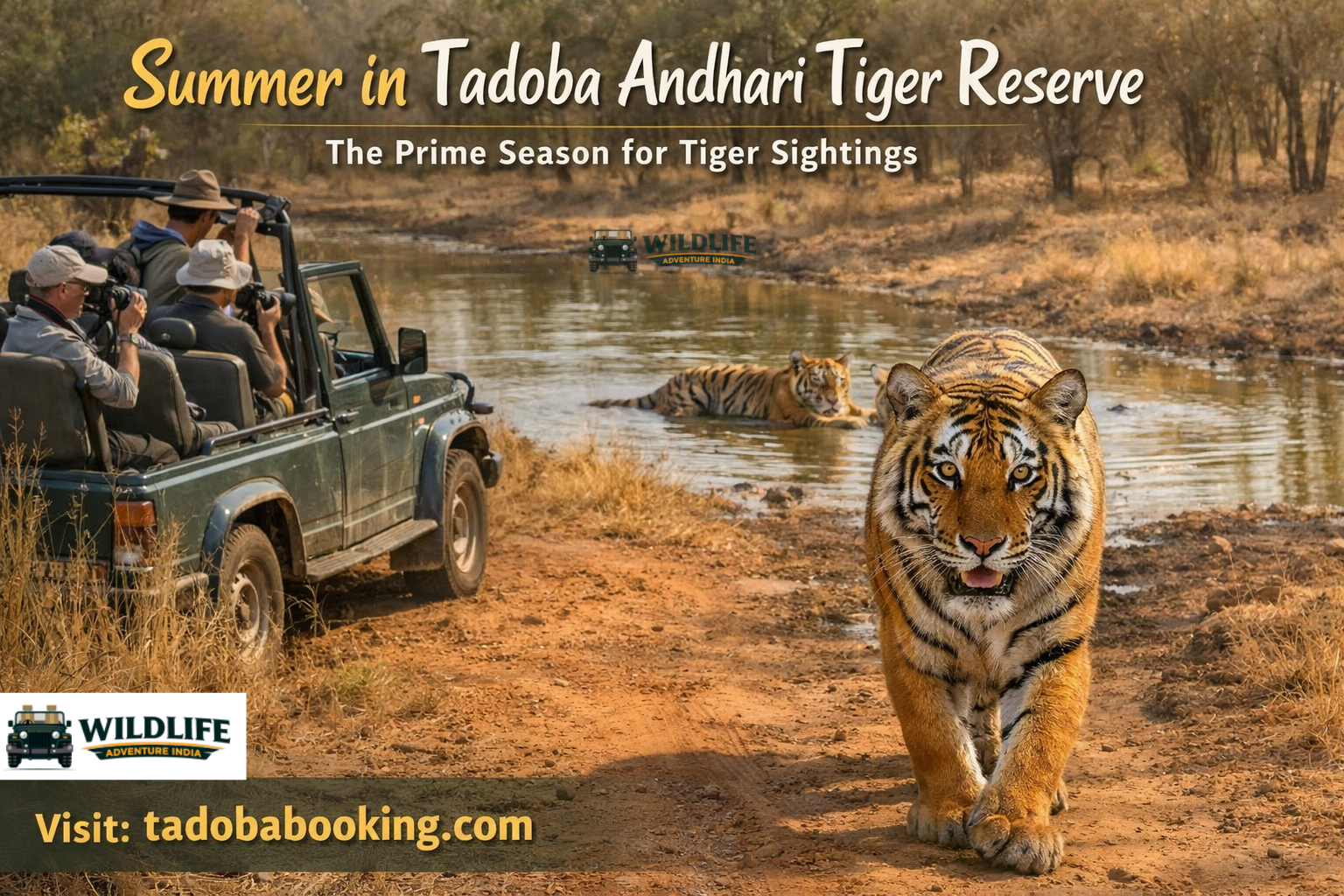 Summer in Tadoba Andhari Tiger Reserve: The Prime Season for Tiger Sightings