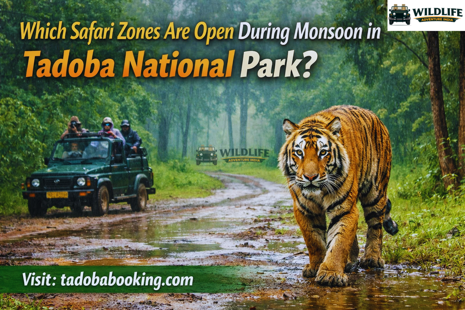 Which Safari Zones Are Open During Monsoon in Tadoba National Park?