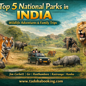 Top 5 National Parks in India for Wildlife Adventures & Family Trips
