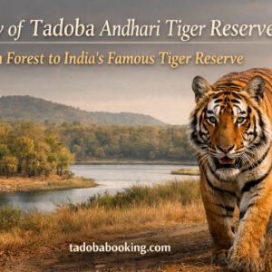 History of Tadoba Andhari Tiger Reserve