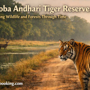 Tadoba tiger reserve Protecting Wildlife and Forests