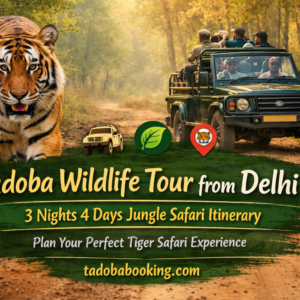 Tadoba Wildlife Tour from Delhi