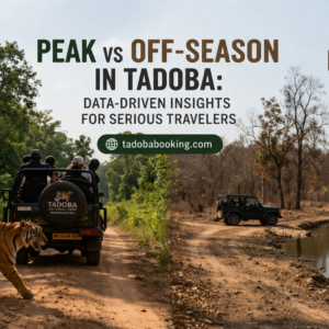 Peak vs Off-Season in Tadoba