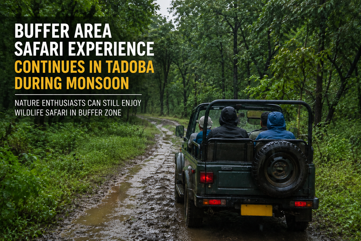 Buffer Area Safari Experience Continues in Tadoba During Monsoon