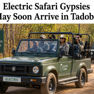 Electric Safari Gypsies May Soon Arrive in Tadoba 