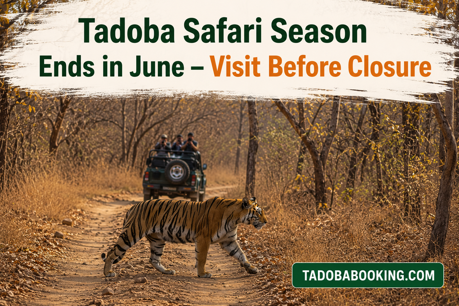 Tadoba Safari Season Ends in June – Visit Before Closure