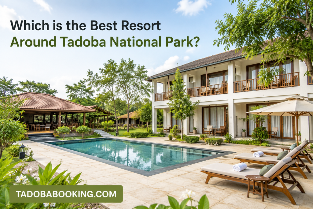 Which is the Best Resort Around Tadoba National Park