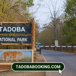 How Many Safari Gates Are There in Tadoba National Park