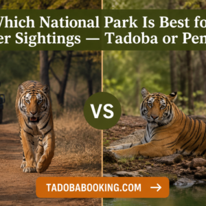 Which National Park Is Best for Tiger Sightings — Tadoba or Pench