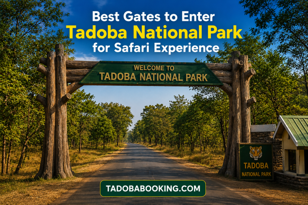 Best Gates to Enter Tadoba National Park for Safari Experience