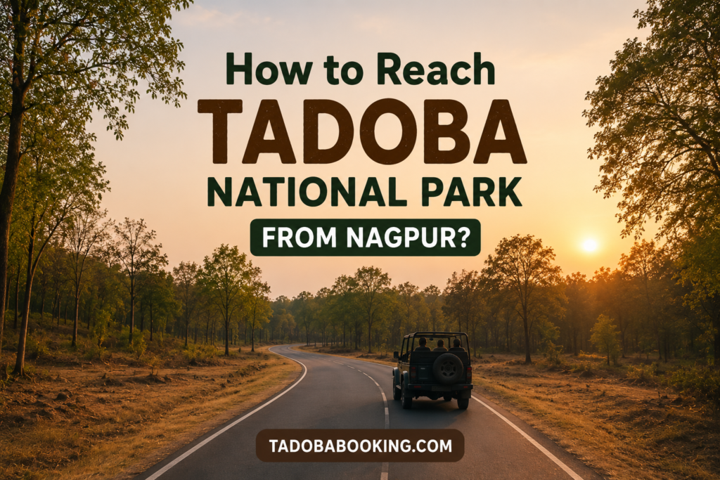 How to Reach Tadoba National Park from Nagpur