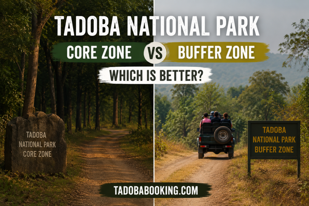 Tadoba National Park Core vs Buffer Zone Which Is Better