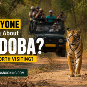 Why Is Everyone Talking About Tadoba Is It Worth Visiting