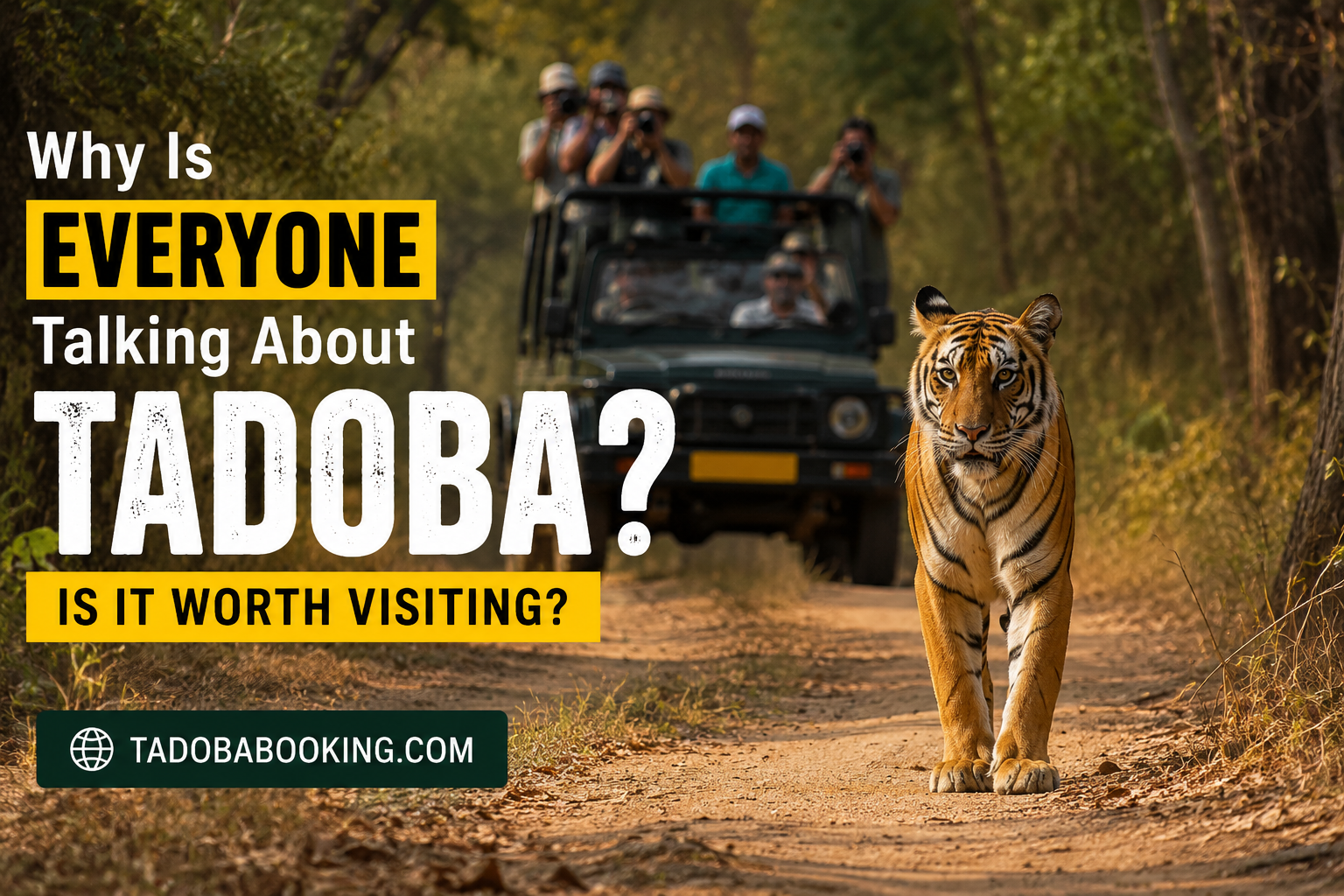 Why Is Everyone Talking About Tadoba? Is It Worth Visiting?