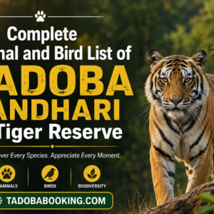 Complete Animal and Bird List of Tadoba Andhari Tiger Reserve