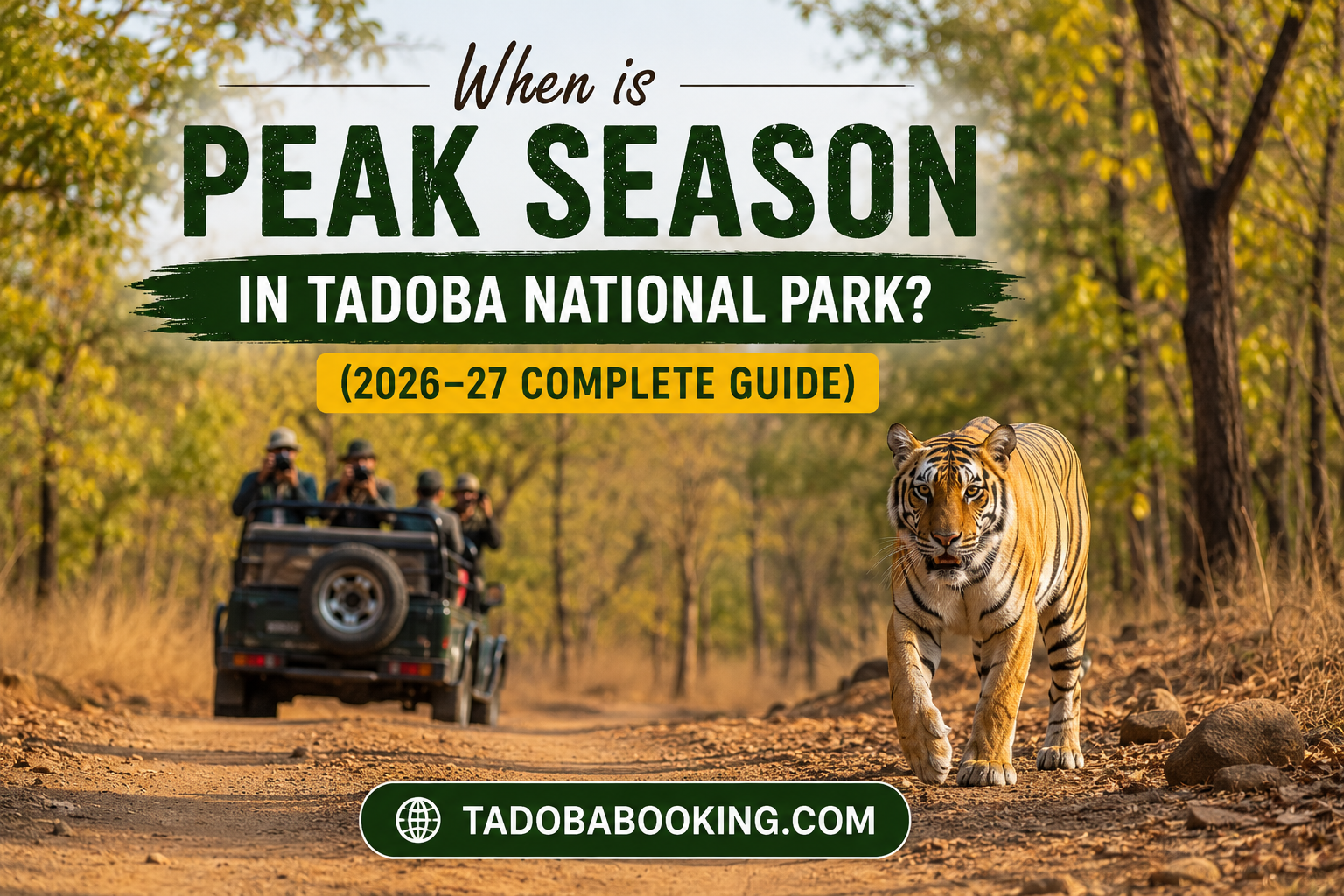 When is Peak Season in Tadoba National Park? (2026–27 Complete Guide) 
