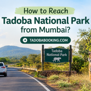 How to Reach Tadoba National Park from Mumbai