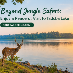 Beyond Jungle Safari Enjoy a Peaceful Visit to Tadoba Lake