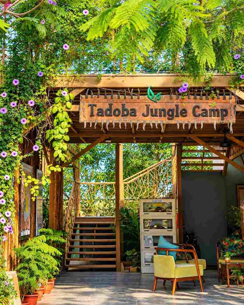 Jungle Resorts and Eco Camps