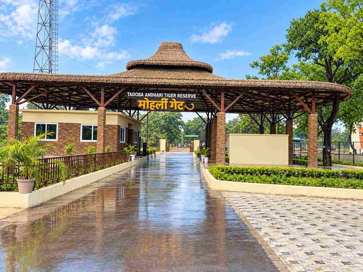 Explore Different Safari Zones and Gates