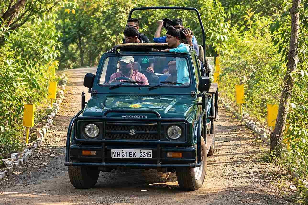 Try a Buffer Zone Safari