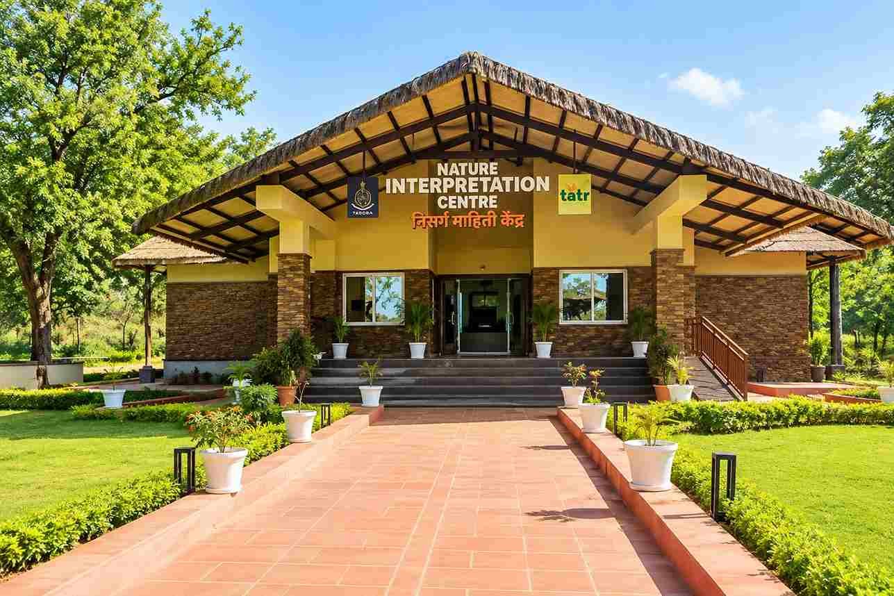 Visit the Interpretation Centre and Learn About the Forest