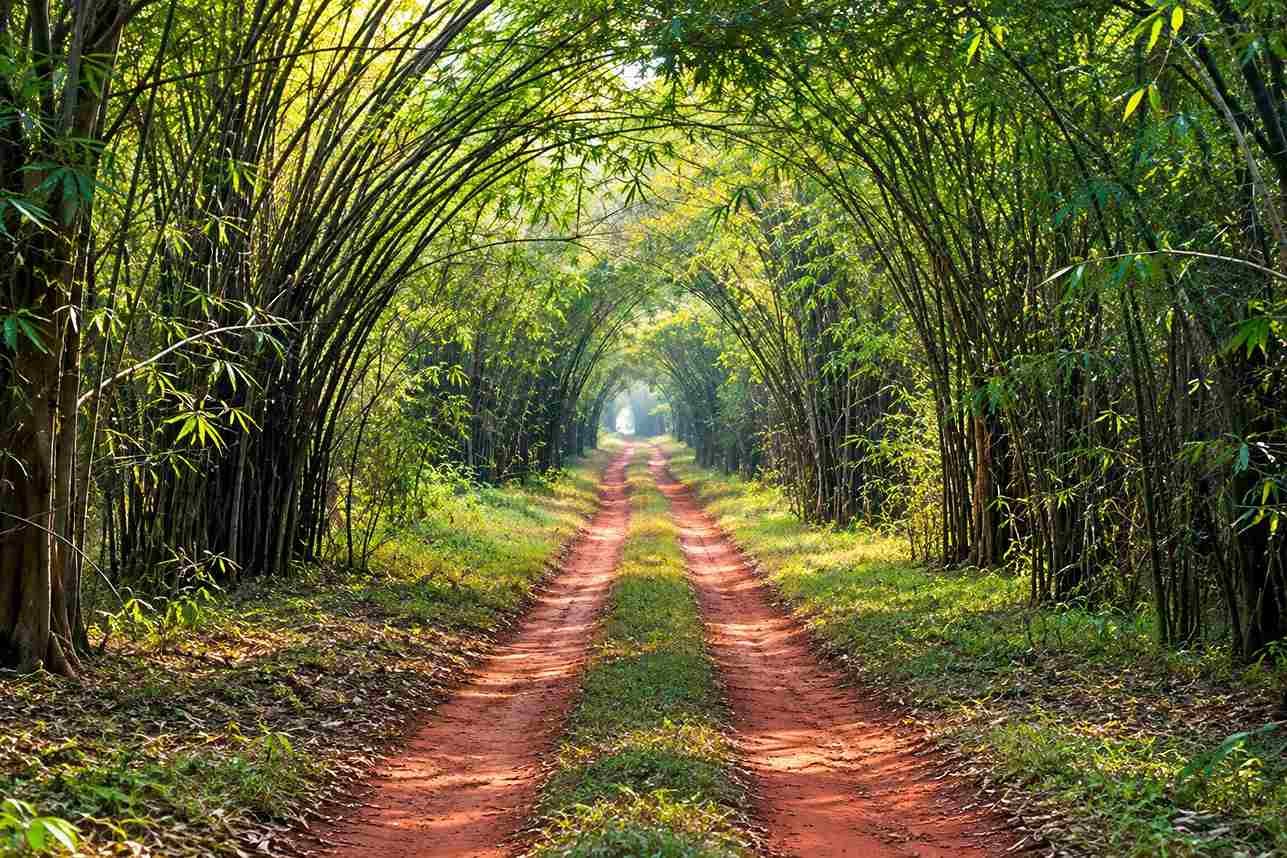 Enjoy Nature Walks and Village Life